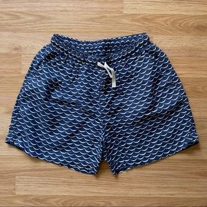 Chubbies Shorts 5.5”